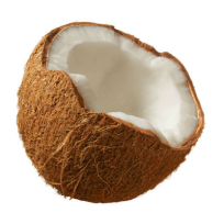 Coconut