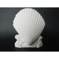 Stone Carved Shell - Carving