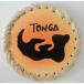 ngatu%20tapa%20coaster%20tongatapu